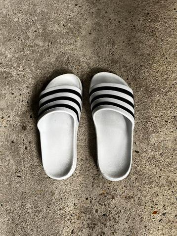 Adidas Slippers Maat 36 beschikbaar voor biedingen