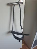 Aangeboden: dubbele neusriem maat pony, Ophalen of Verzenden, Zo goed als nieuw