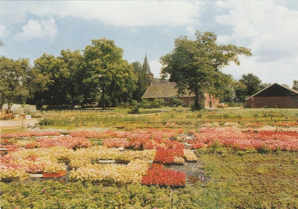 VARSSEVELD  Panorama, Verzenden, 1980 tot heden, Gelopen, Gelderland