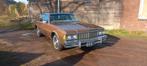 Chevrolet 1979 Bruin, Automaat, Radio, Bruin, 4998 cc