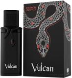 Vulcan franch avenue 100 ml parfum heren, Ophalen of Verzenden