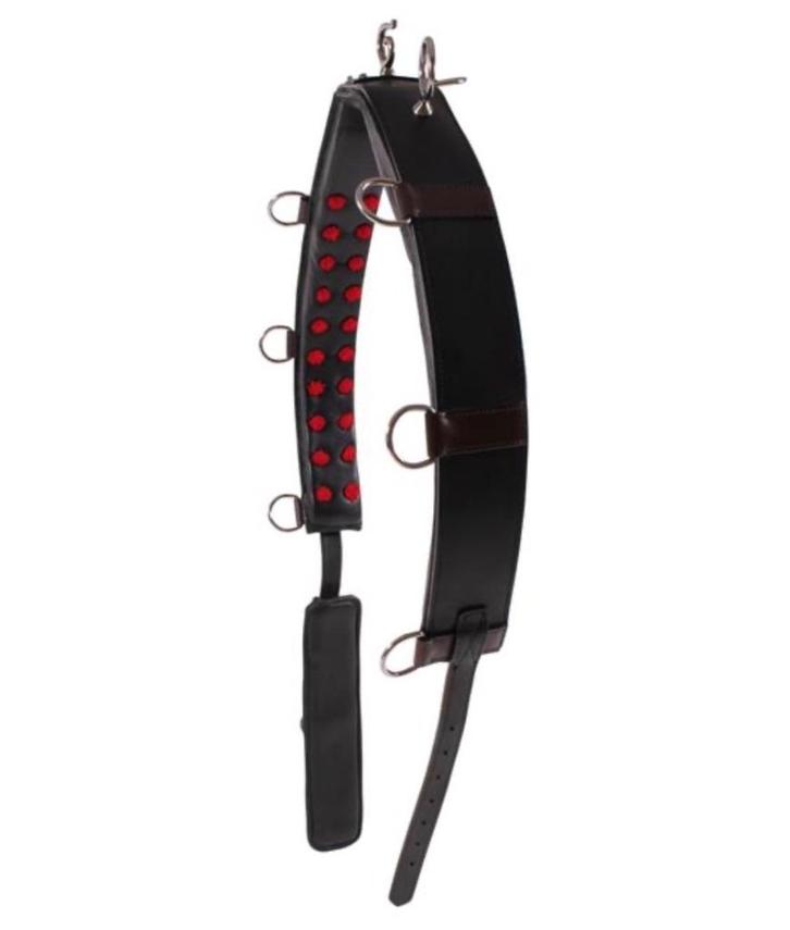 Lammer Haanstra longeersingel en pad, Dieren en Toebehoren, Paarden en Pony's | Overige Paardenspullen, Gebruikt, Overige soorten