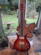 Washburn Eagle, Ophalen of Verzenden, Gebruikt, Solid body, Overige merken