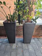 Prachtige, zeer zware stenen bloempotten in antraciet kleur., Ophalen, Steen, Rond, Zo goed als nieuw