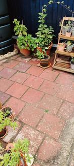 Tuintegels, Tuin en Terras, Ophalen, Gebruikt, 10 m² of meer, Beton