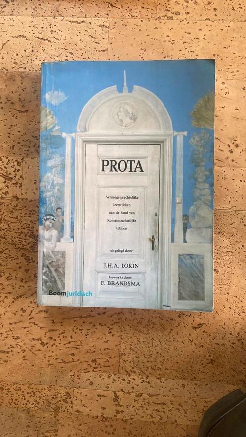 J.H.A. Lokin - Prota, Boeken, Wetenschap, Ophalen of Verzenden