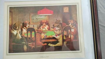 Coolidge - Dogs - A friend in need beschikbaar voor biedingen