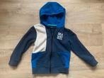 Mooi jongens vest maat 110, Europe Kids, Trui of Vest, Ophalen of Verzenden, Zo goed als nieuw