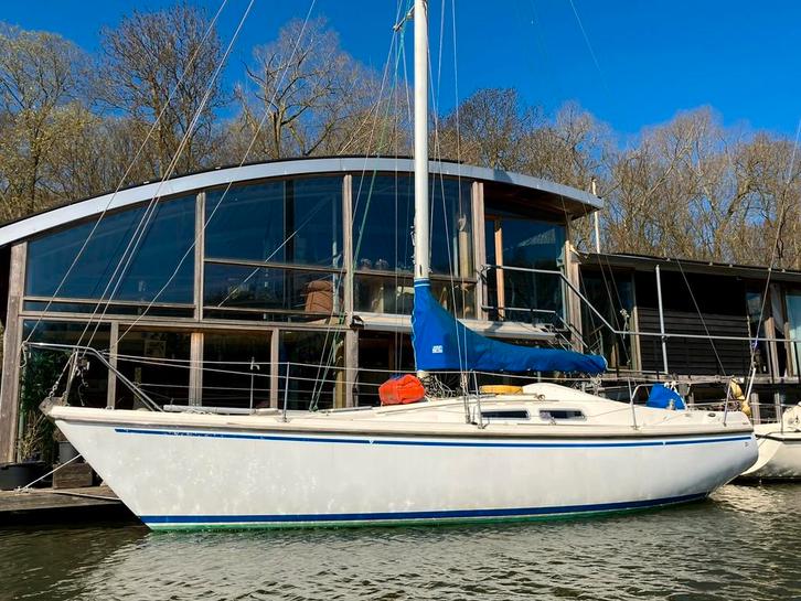 Contest 31HT, Watersport en Boten, Kajuitzeilboten en Zeiljachten, Gebruikt, Tourjacht of Cruiser, Polyester, 9 tot 12 meter, Diesel