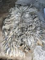 4+1 gratis schapenvachten mooie kwaliteit viltvachten vilt, Hobby en Vrije tijd, Vilt, Ophalen of Verzenden, Nieuw, Overige typen