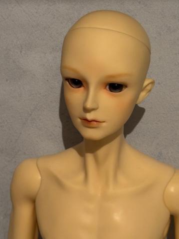 (R) SD BJD - Volks