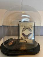 Stolp met Insecten en Vlinderprint ook leuk v d kerst, Ophalen of Verzenden