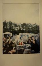 Plek gezocht, Ophalen, Nieuw, Jongen of Meisje