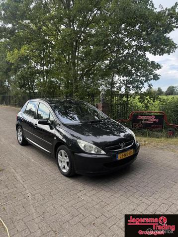 Peugeot 307 2.0-16V Gentry beschikbaar voor biedingen