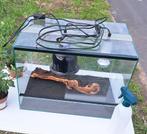 terrarium, Dieren en Toebehoren, Reptielen en Amfibieën | Toebehoren, Ophalen, Zo goed als nieuw, Terrarium of Paludarium