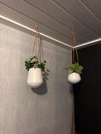 Mooie neppe planten in hangende bakken, Tuin en Terras, Bloempotten, Kunststof, Rond, Binnen, Ophalen of Verzenden