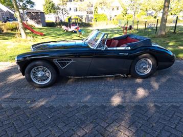 Austin Healey 3000 mark II 2+2 bj 1963 beschikbaar voor biedingen