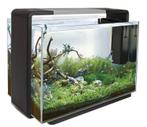 Zwarte Superfish Home 110 - complete set (foto's volgen), Dieren en Toebehoren, Vissen | Aquaria en Toebehoren, Ophalen, Zo goed als nieuw