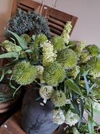 Allium bol 
Klein €1,65 p.s. (groen en wit)
Groot €1,99, Ophalen of Verzenden, Nieuw