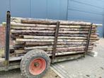 Palen boompalen afrastering omheining paarden, Tuin en Terras, Ophalen, Zo goed als nieuw, 250 cm of meer, Palen
