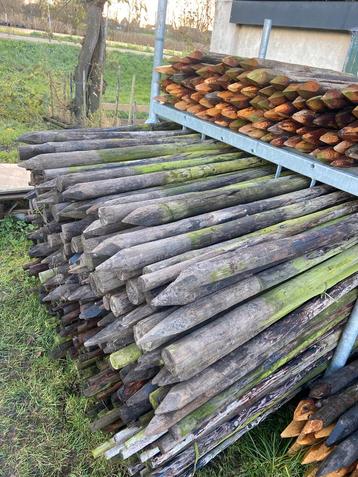 Boompalen 250cm, 5-6cm dik beschikbaar voor biedingen