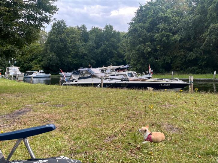 Ofshore speedboot in onderdelen, Watersport en Boten, Bootonderdelen, Motor en Techniek, Ophalen of Verzenden