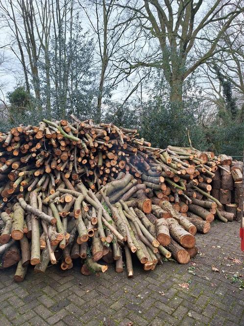 Kachel hout, Tuin en Terras, Haardhout, Blokken, Overige houtsoorten, 6 m³ of meer, Ophalen of Verzenden