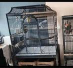 TEAB: Ruime kooi voor kleine papegaaien of grote parkieten, Dieren en Toebehoren, Vogels | Hokken en Kooien, Ophalen of Verzenden