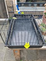 Konijnen en cavia hok, 110 cm of meer, Hok, Cavia, Ophalen