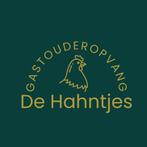 Gastouder Gastouderopvang Kinderopvang