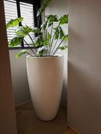 Hoge witte bloempot/plantenbak 100cm hoog, Tuin en Terras, Bloempotten, Ophalen, Kunststof, Gebruikt, 40 cm of meer