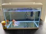 Aquarium te koop, Dieren en Toebehoren, Ophalen, Gebruikt, Leeg aquarium