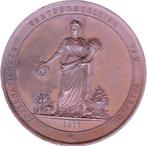 INTERNATIONALE TENTOONSTELLING VAN TUINBOUW 1877, Postzegels en Munten, Penningen en Medailles, Verzenden, Overige materialen