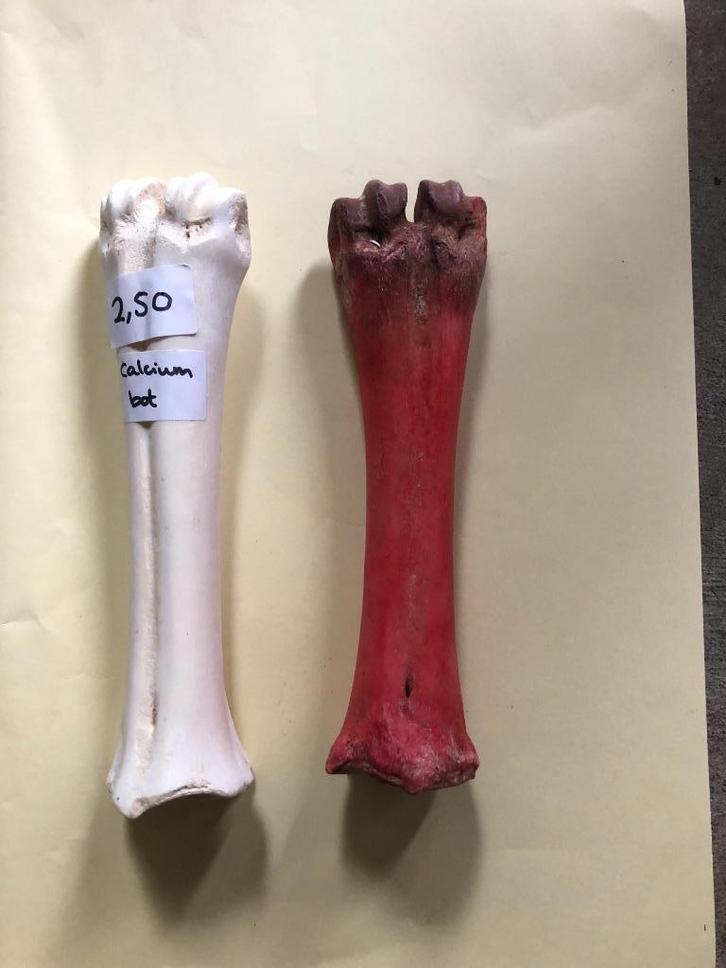 Hondensnacks, Dieren en Toebehoren, Dierenvoeding, Hond, Ophalen of Verzenden