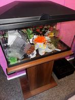 Aquarium, Ophalen, Zo goed als nieuw, Leeg aquarium