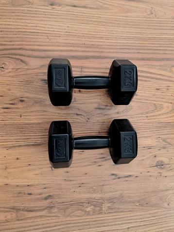 Set van 2 x 2kg Dumbbells beschikbaar voor biedingen