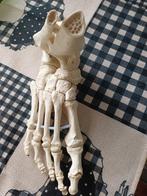 Voeten menselijk lichaam, Ophalen, Zo goed als nieuw, Apparaat