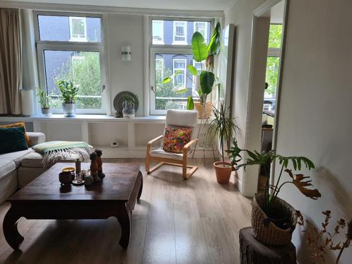 Eleven House Plants, Huis en Inrichting, Kamerplanten, Overige soorten, Minder dan 100 cm, Groene kamerplant, Halfschaduw, In pot