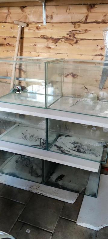 7 x aquarium € 200 beschikbaar voor biedingen