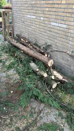 Gratis Openhaardhout Afhalen!, Doe-het-zelf en Verbouw, Hout en Planken, Ophalen of Verzenden, Gebruikt, 200 tot 250 cm, Overige typen