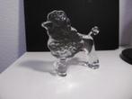 Vintage Kosta Boda Poedel, Zoo serie. 1980 Bertil Vallien, Ophalen of Verzenden