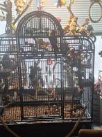 vogelkooi montana, Dieren en Toebehoren, Vogels | Hokken en Kooien, Ophalen, Zo goed als nieuw, Metaal, Vogelkooi