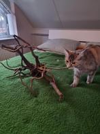 Aquariumhout 2 stukken ook los te koop, Dieren en Toebehoren, Ophalen of Verzenden, Plant(en), Steen of Hout