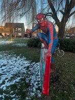 Spiderman mascotte te huur, Hobby en Vrije tijd, Nieuw, Ophalen of Verzenden