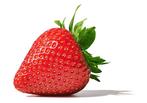 Aardbeiplantjes met rode en witte bloemen, Ophalen, Volle zon, Vaste plant, Fruitplanten