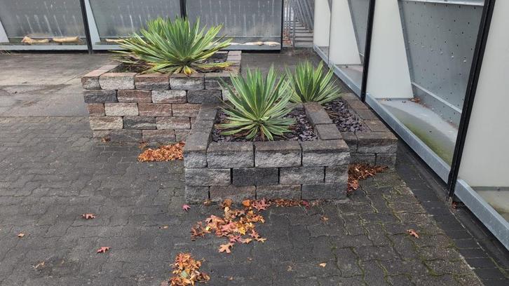 Prachtige kant en klare bloembakken,  GRATIS, Tuin en Terras, Bloembakken en Plantenbakken, Gebruikt, Beton, Tuin, 60 cm of meer