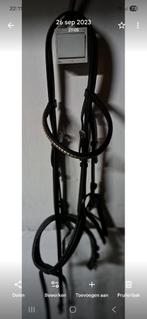 Passier hoofdstel maat extra full, Dieren en Toebehoren, Ophalen of Verzenden, Gebruikt, Dressuur