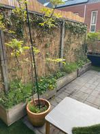 4x Hardhouten plantenbak 126cm, incl klimop etc, Tuin en Terras, Bloembakken en Plantenbakken, Ophalen, Rechthoekig, Hout