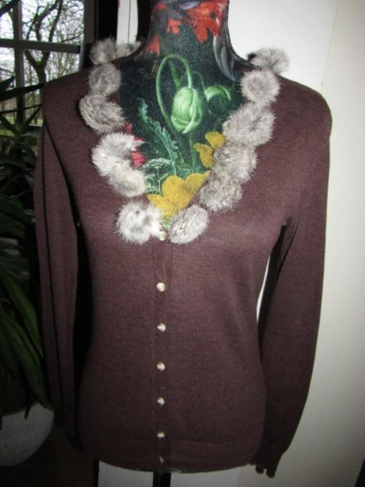 E1988 RENÉ VAN DER WIJCK mt S vest donkerbruin, Kleding | Dames, Truien en Vesten, Zo goed als nieuw, Maat 36 (S), Bruin, Verzenden