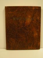 Raffaello, Ophalen of Verzenden, Gelezen, Schilder- en Tekenkunst